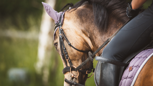 Proprioception – How can this improve my riding?
